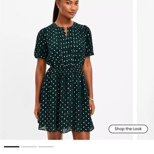 LOFT Silver and Green Polka Dot Dress